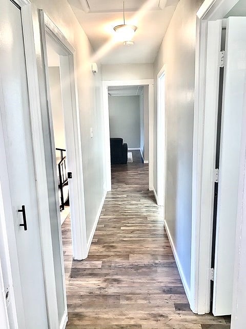Furnished Finder property 263830_1 photo 12