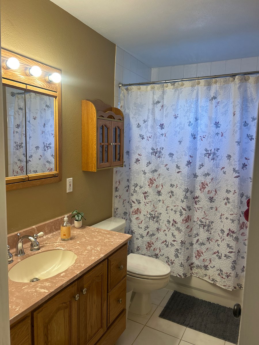 Furnished Finder property 264150_2 photo 11