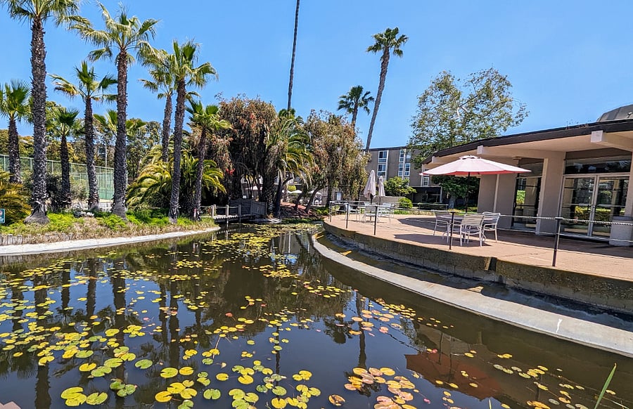 courtyard pond, tables and wifi