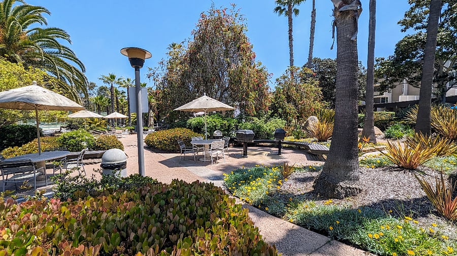Gas BBQs and tables