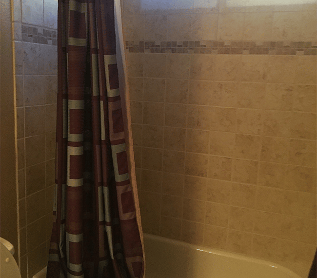 Furnished Finder property 264371_1 photo 15