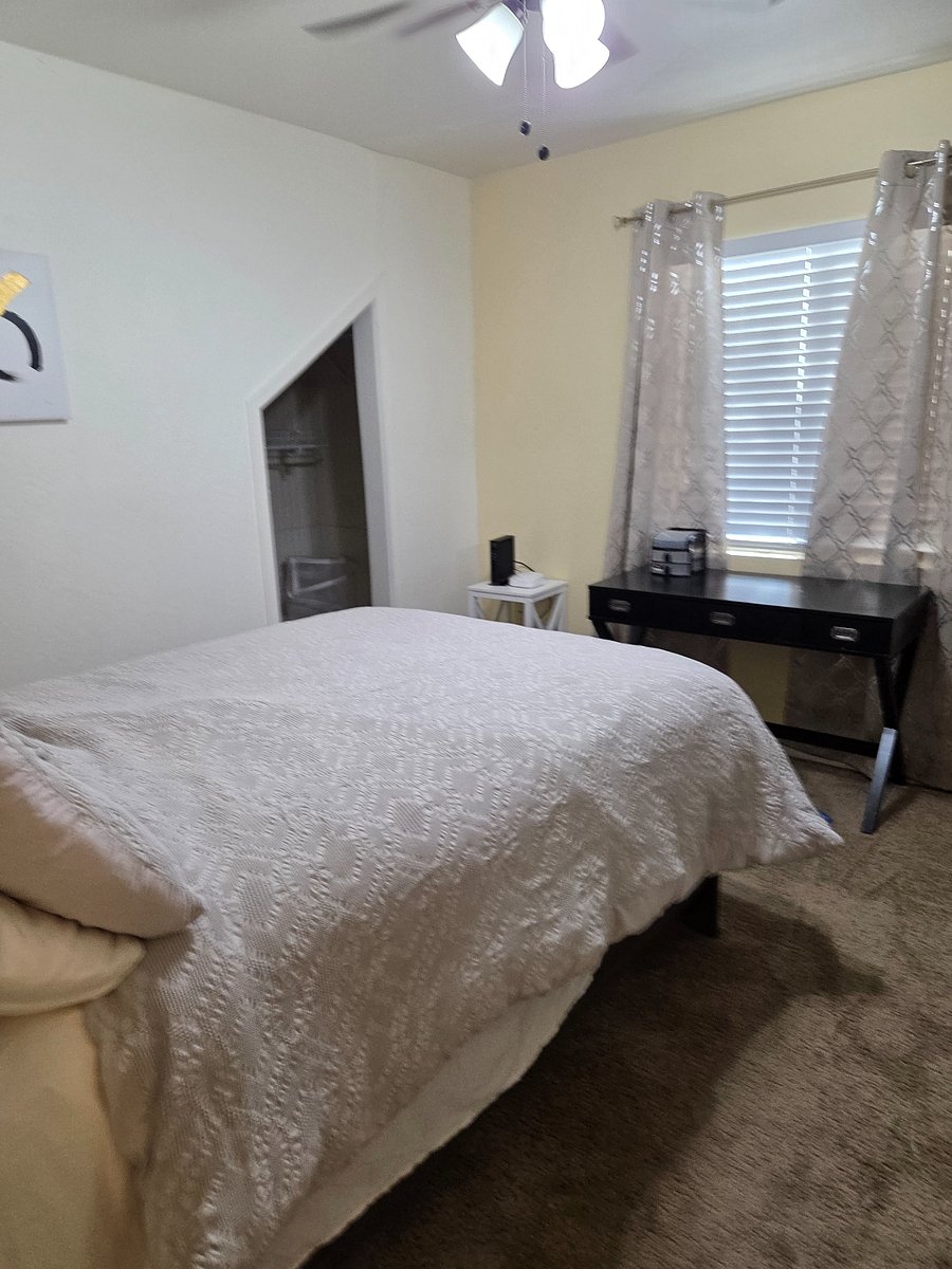 Furnished Finder property 264382_1 photo 16