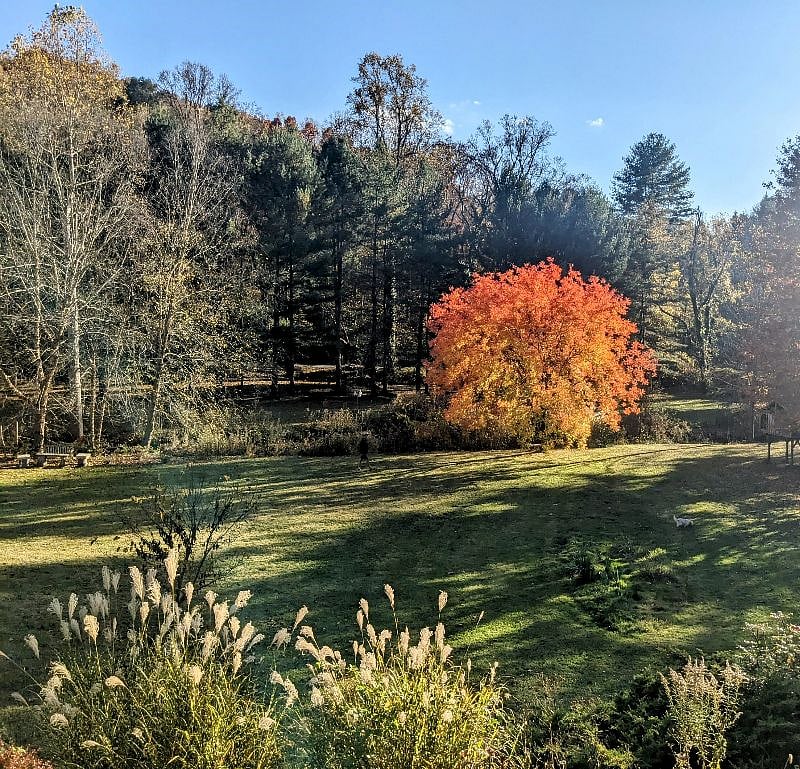 Our meadow right across the street is yours to explore.