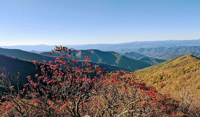 Craggy Gardens is just a half hour drive on the Blue Ridge Parkway.