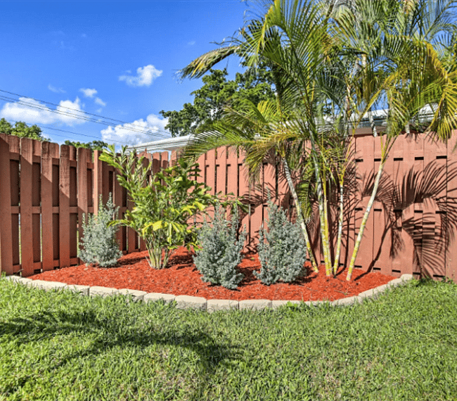 Get to know Florida's foliage.
