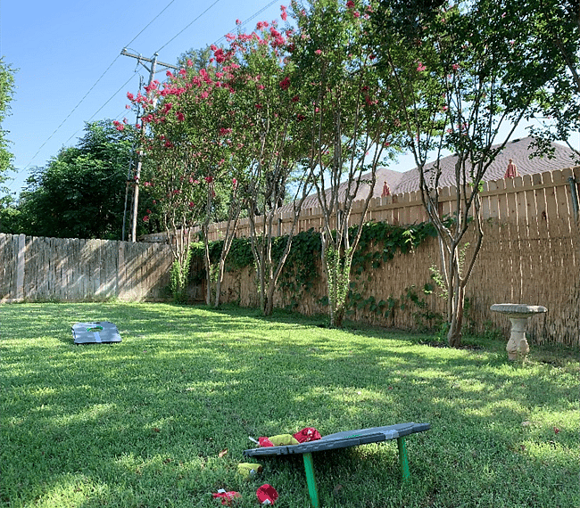 Furnished Finder property 264517_1 photo 37