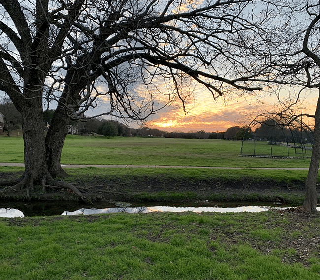 Dave and I have about 4 favorite walking loops that average 1-3 miles, but you can of course go much further if desired!