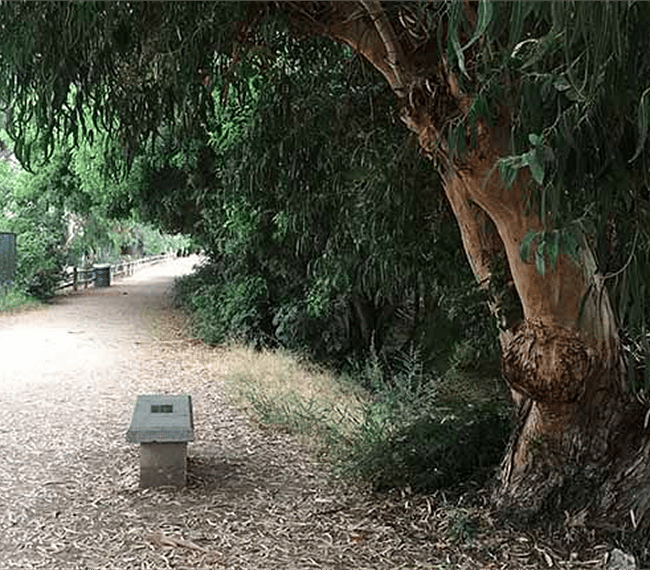 Bike Path behind the apartment