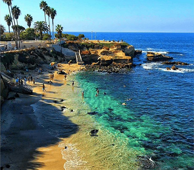"The Cove" in the village of La Jolla where you can swim and enjoy the California Sea Lions. I swim here during the summer and get my !/2 mile in. There are markers so you can measure how far you go and a life guard.