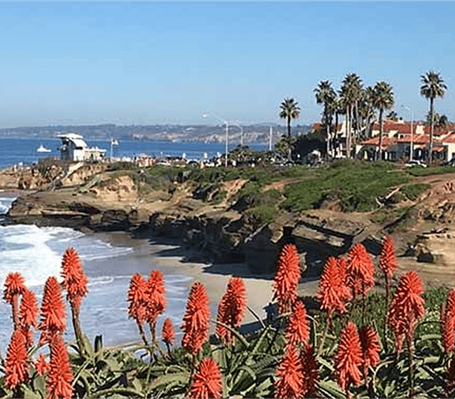 La Jolla along Coast Blvd.