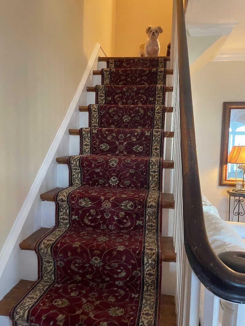 Furnished Finder property 264819_1 photo 8