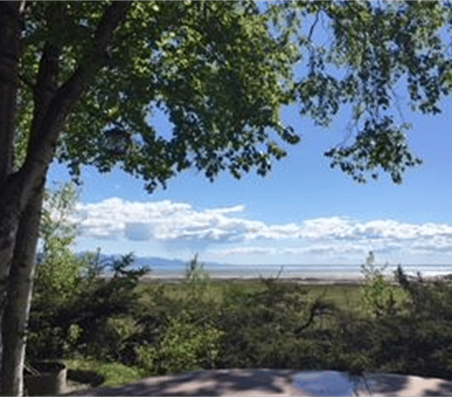 view from the deck