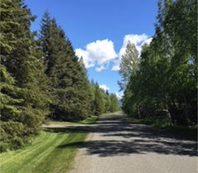 Our street