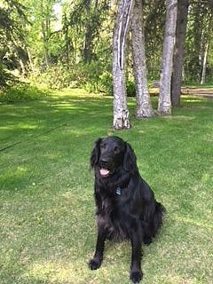 Oly , our greeter