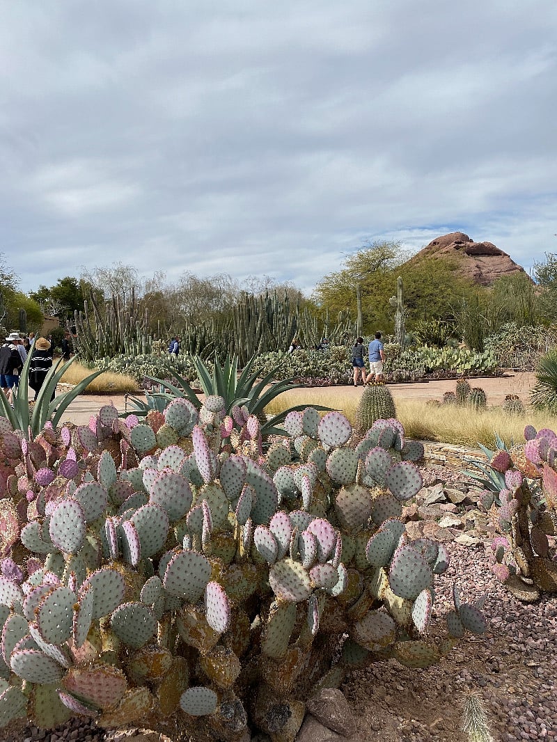 Botanical Gardens, a few minutes away
