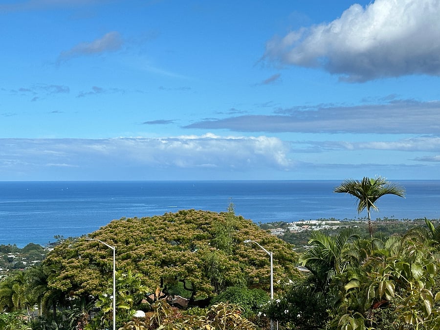 Furnished Finder property 265108_2 photo 14