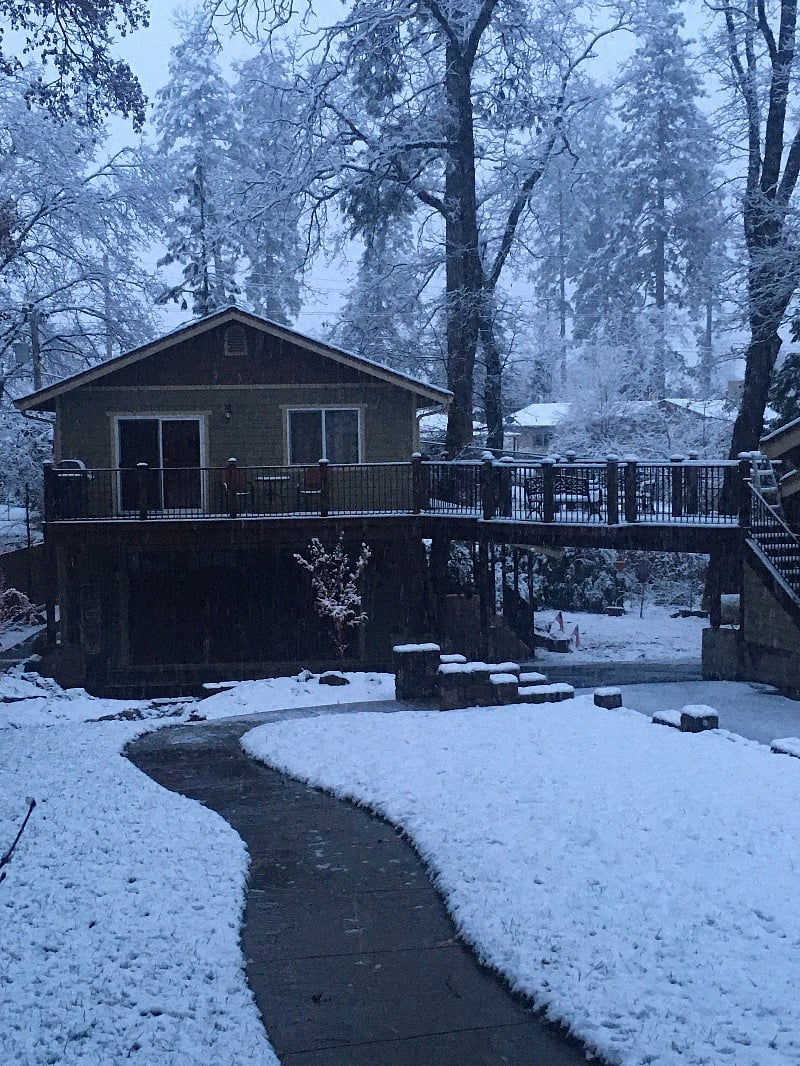 fresh snow from our recent snow storm 