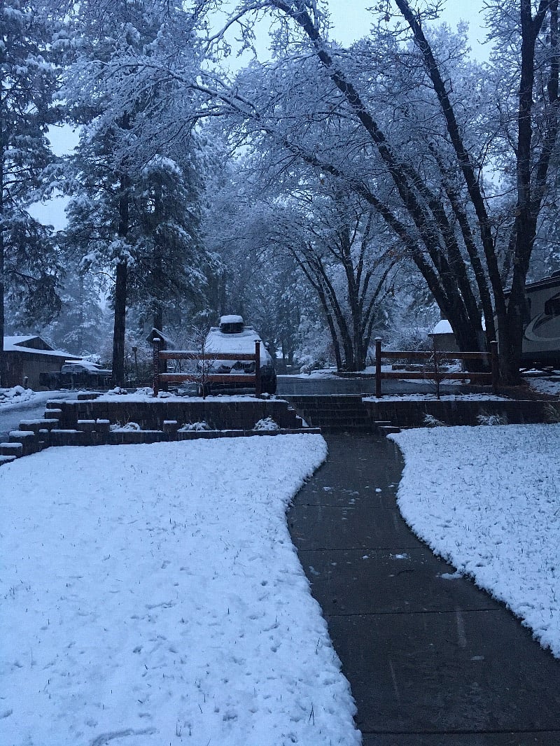 snow from our recent snow storm
