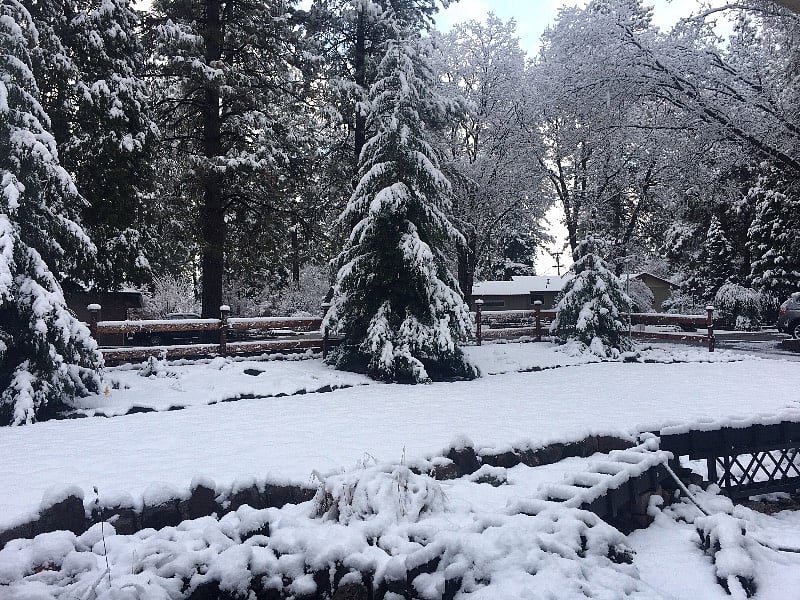 front yard after our recent snow storm