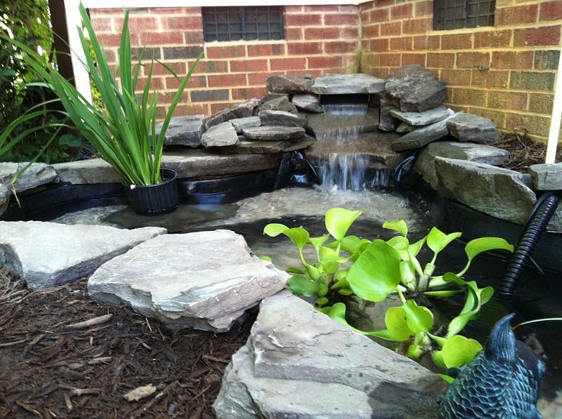 fish pond off the patio