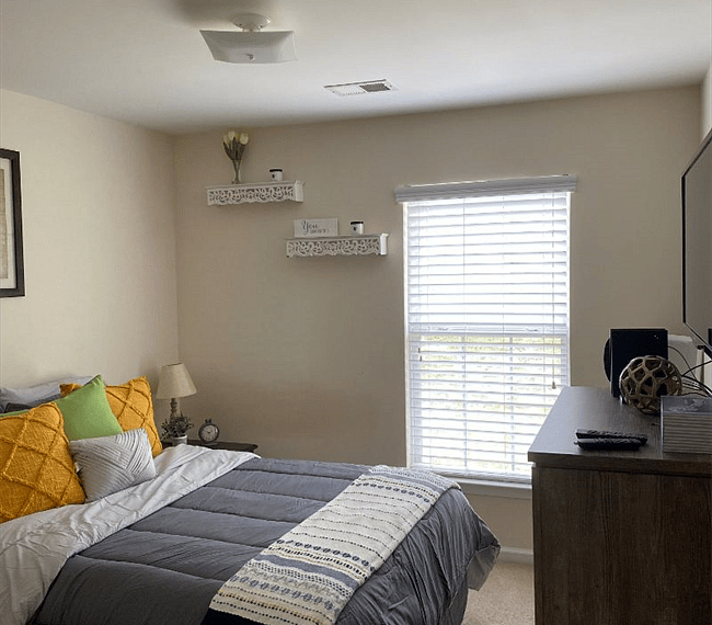 Furnished Finder property 265315_1 photo 13