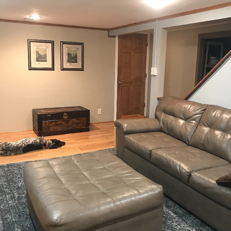 Renters living room