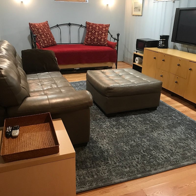 Renters living room/ tv room