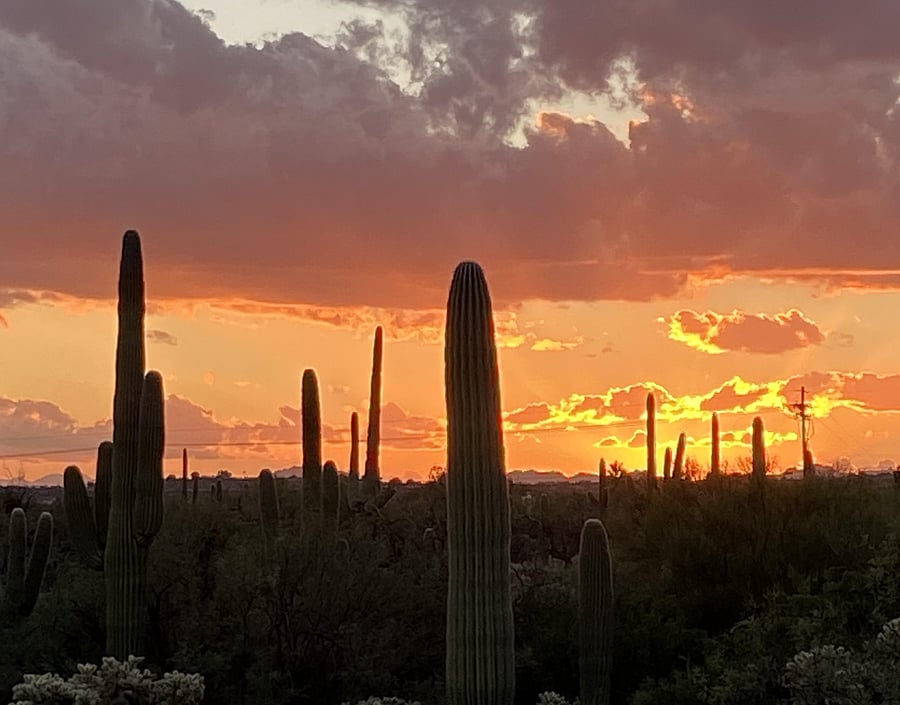 Sunset from Sabino Canyon Overflow Parking Lot (right up the street)