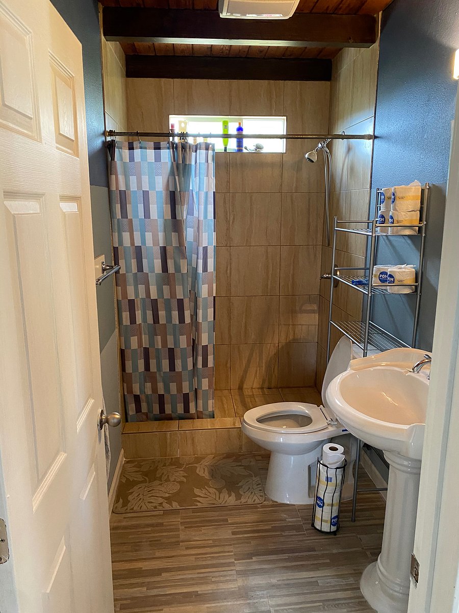 Furnished Finder property 265504_2 photo 9