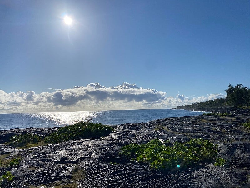 Beautiful walking paths along the ocean cliff side.