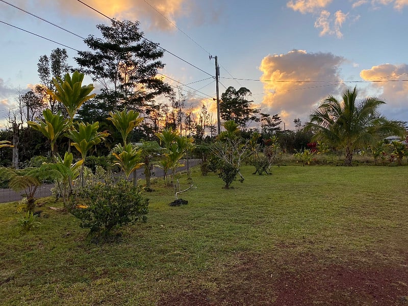 Lots of room to roam on a lushish plants to enjoy nature outdoors.