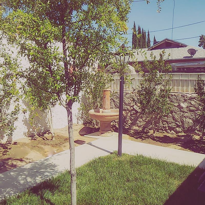 Lovely established gardens surrounding the home