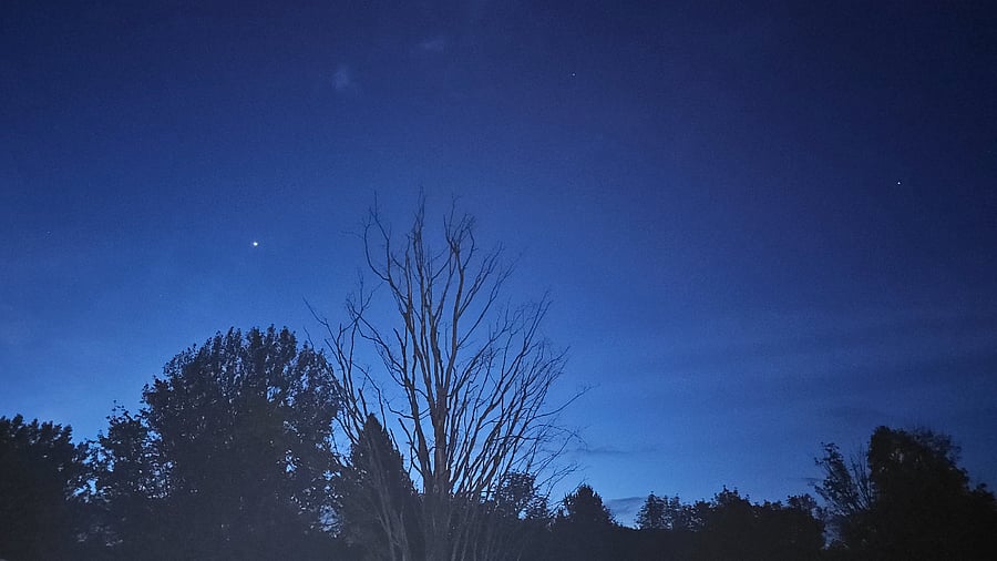 Beautiful nights