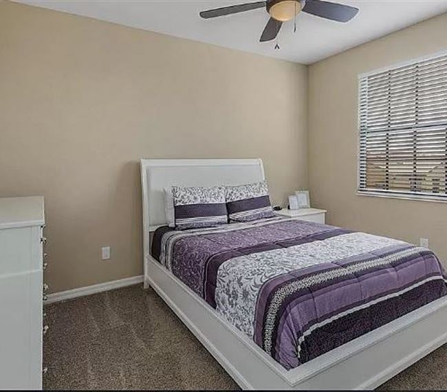 Furnished Finder property 265740_1 photo 9