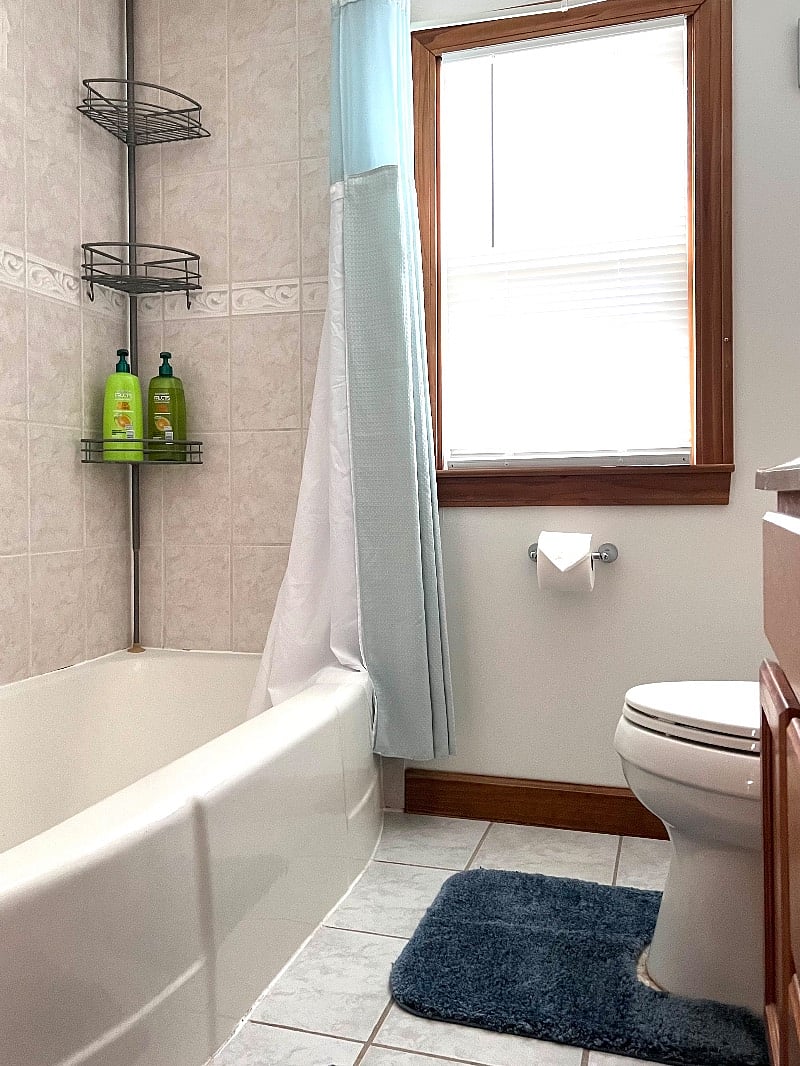 Furnished Finder property 265753_1 photo 9