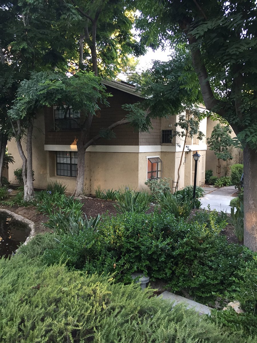 Furnished Finder property 265842_1 photo 15