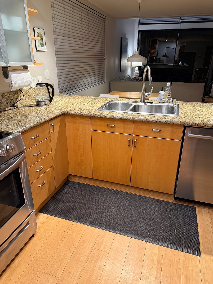 Kitchen sink and dishwasher. All Stainless steel
