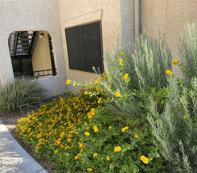 Lovely established gardens surrounding the home