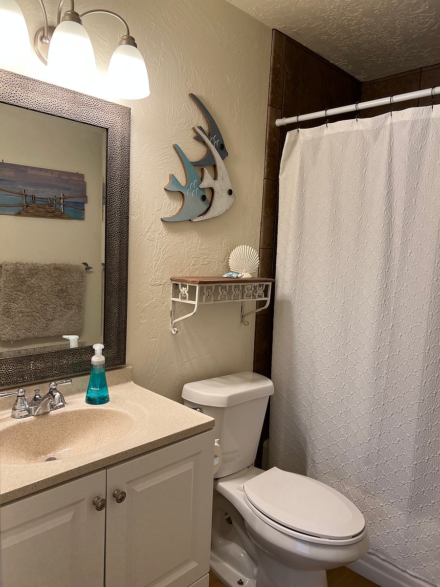 Furnished Finder property 266050_1 photo 8