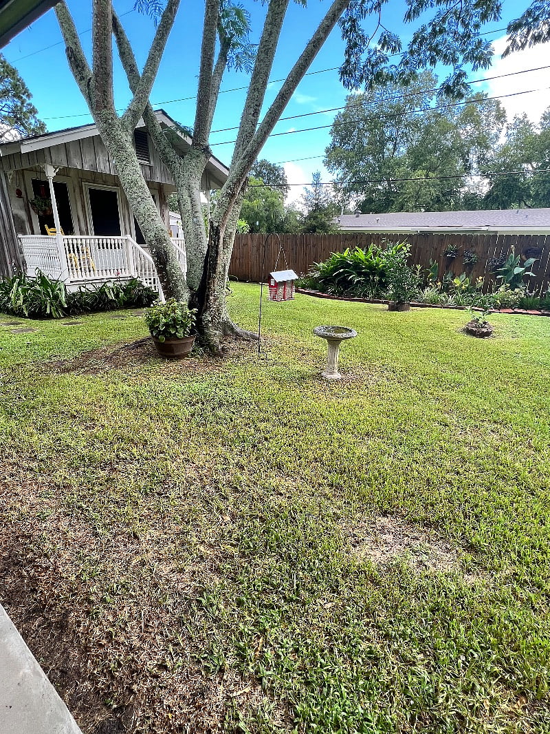 Furnished Finder property 266156_1 photo 9