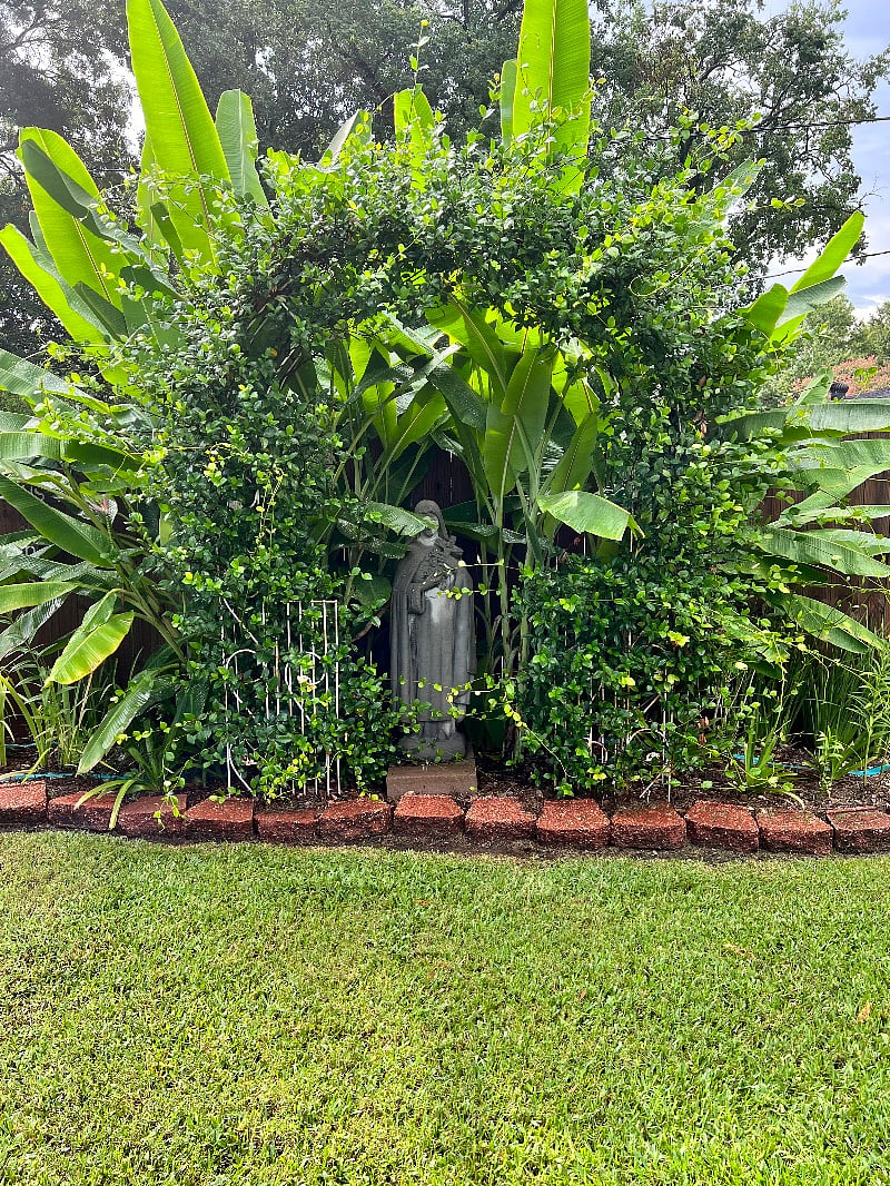 Beautiful landscaping!