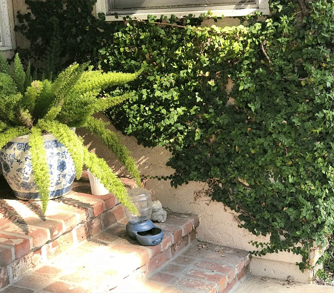 Furnished Finder property 266193_1 photo 13