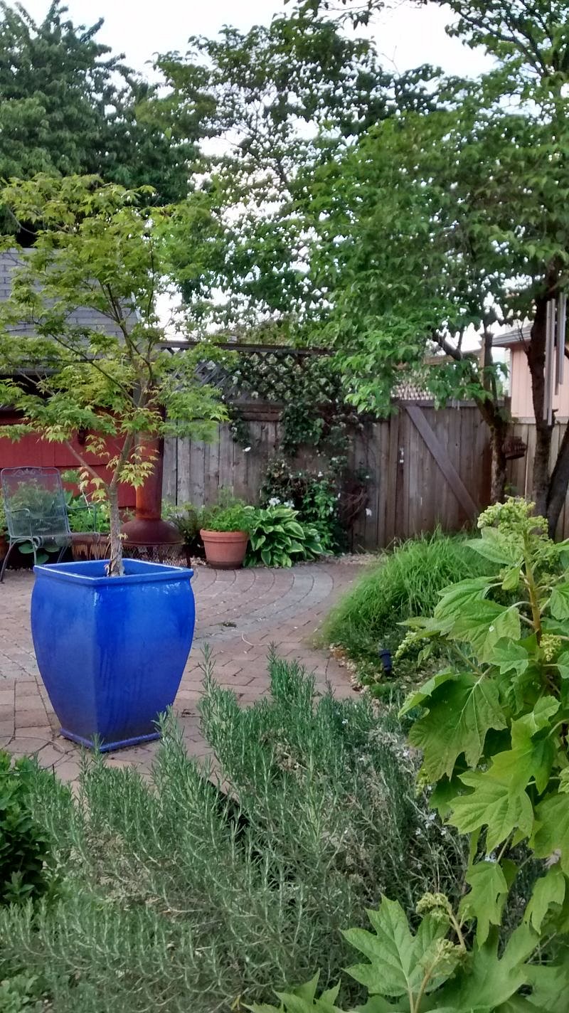 Furnished Finder property 266347_1 photo 24