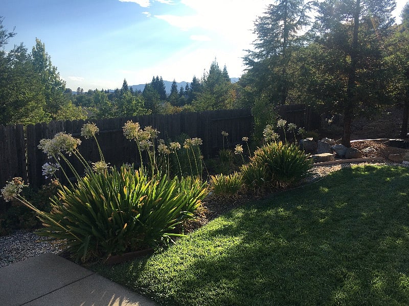 Furnished Finder property 266385_1 photo 10