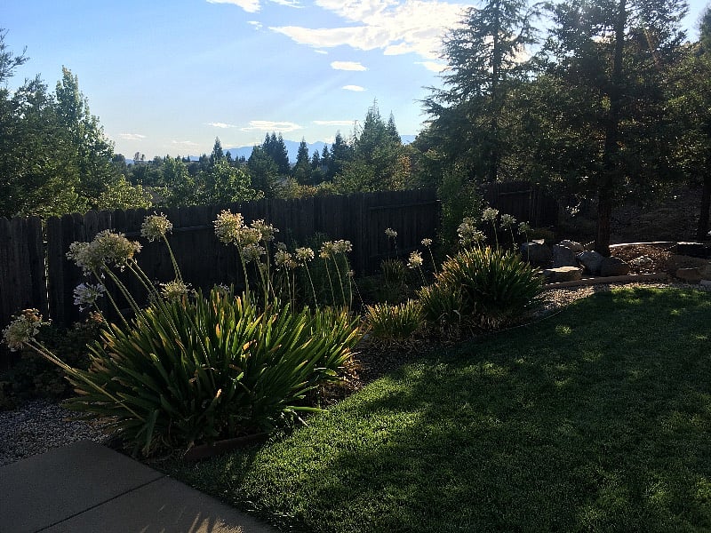 Furnished Finder property 266385_1 photo 5