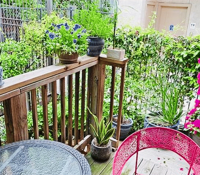 Lovely established gardens surrounding the home