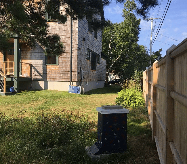 A well maintained backyard