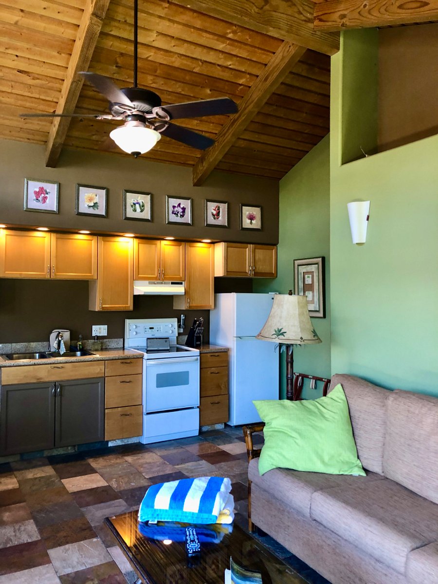 Furnished Finder property 266526_1 photo 13