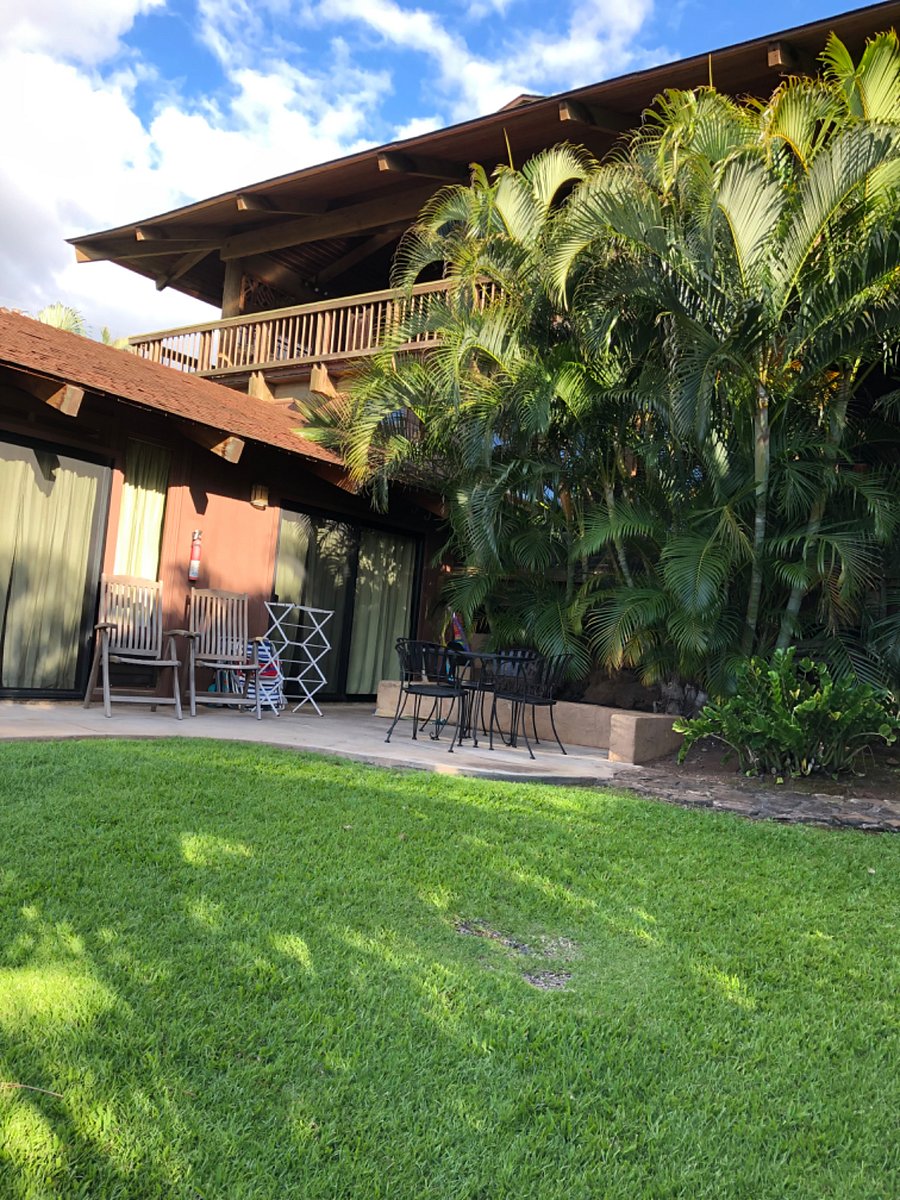 Furnished Finder property 266526_1 photo 14