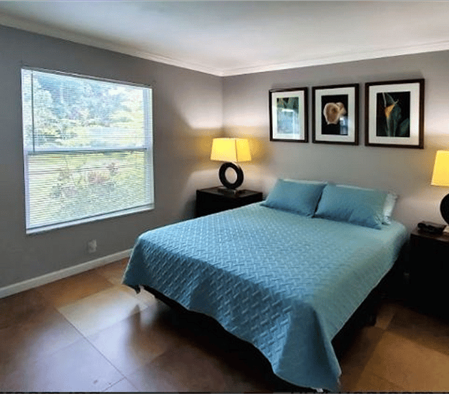 Furnished Finder property 266555_1 photo 3